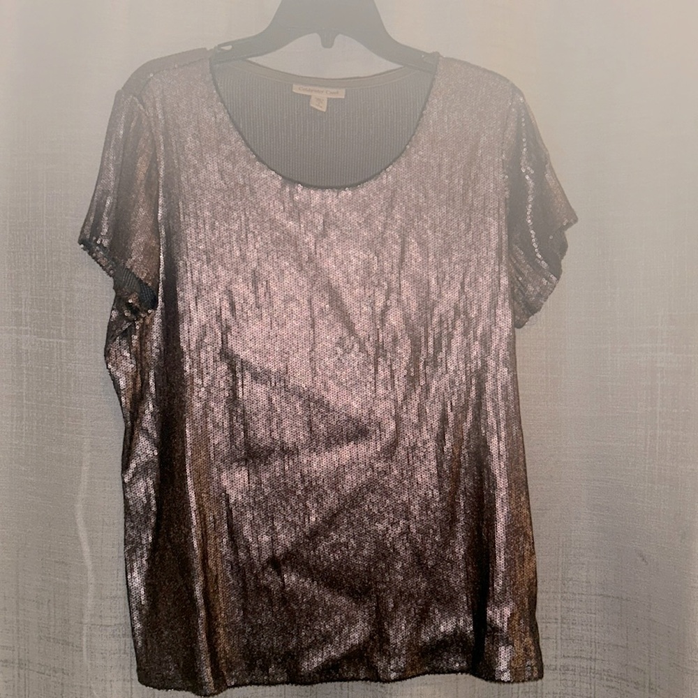 Goldcreek sequin shortsleeved size large top